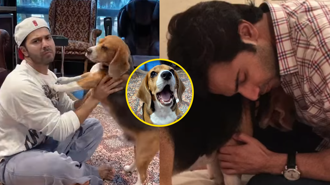 Varun Dhawan Mourns The Loss Of His Beloved Pet